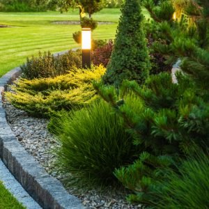 Landscaped Garden at the Backyard with Evenly Mowed Lawn and Island Bed with a Variety of Shrubs, Bushes, Trees and Evergreen Plants. Decorated with Bollard Outdoor Lighting Lamp.